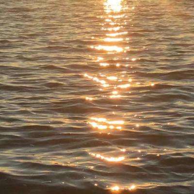 bet体育365官网正规app下载